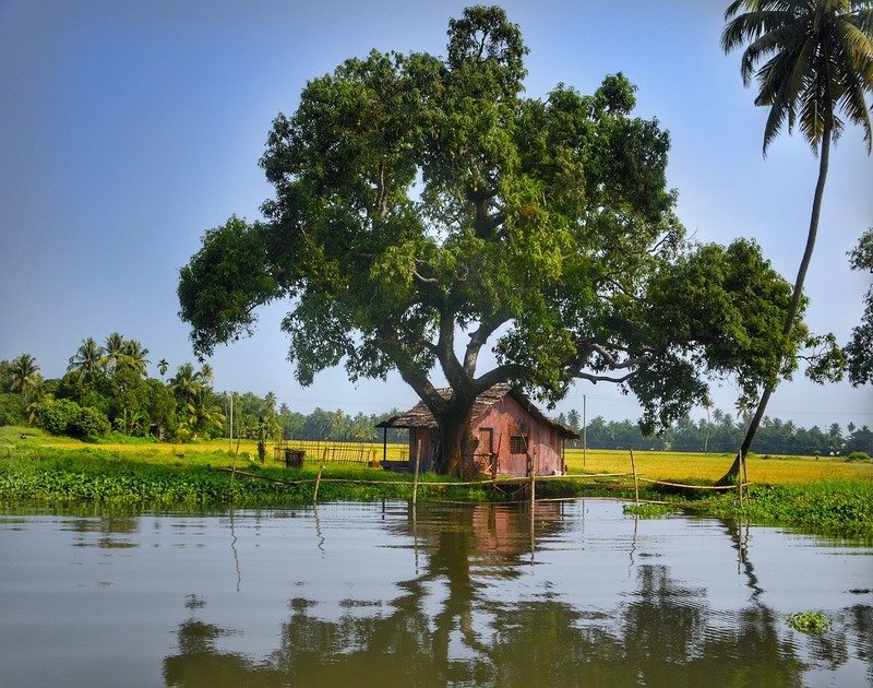 alleppey-3170776_1280 (1)